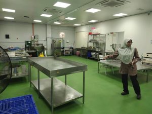 whatsapp image 2024 12 10 at 16.26.07 (2)