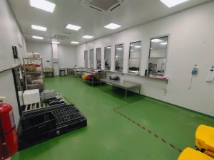 whatsapp image 2024 12 10 at 16.26.10