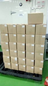 whatsapp image 2025 09 14 at 13.01.48 (1)